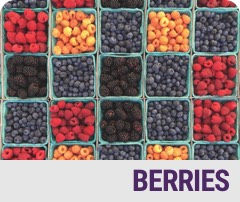 Berries Badge