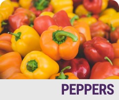 Peppers Badge